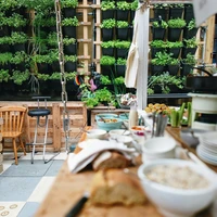 Hydroponic brunch