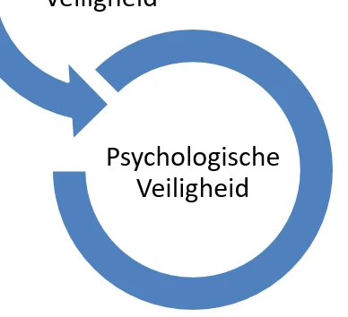 Psych Veiligheid WS 1017