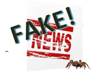 Fake News WS 1117