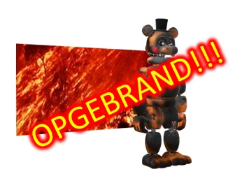 Opgebrand WS 1018